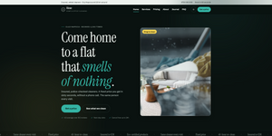 RINSE cleaning services Shopify theme homepage