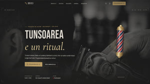 BRICI cinematic barbershop Shopify theme video preview